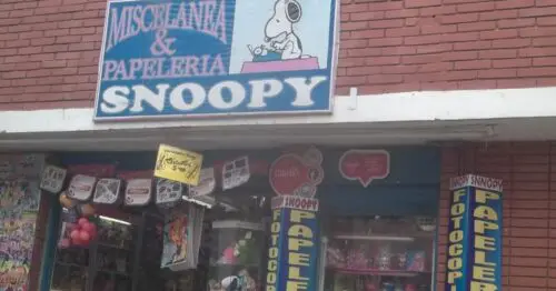 MISCELANEA & PAPELERIA SNOOPY MISCELANEA & PAPELERIA SNOOPY